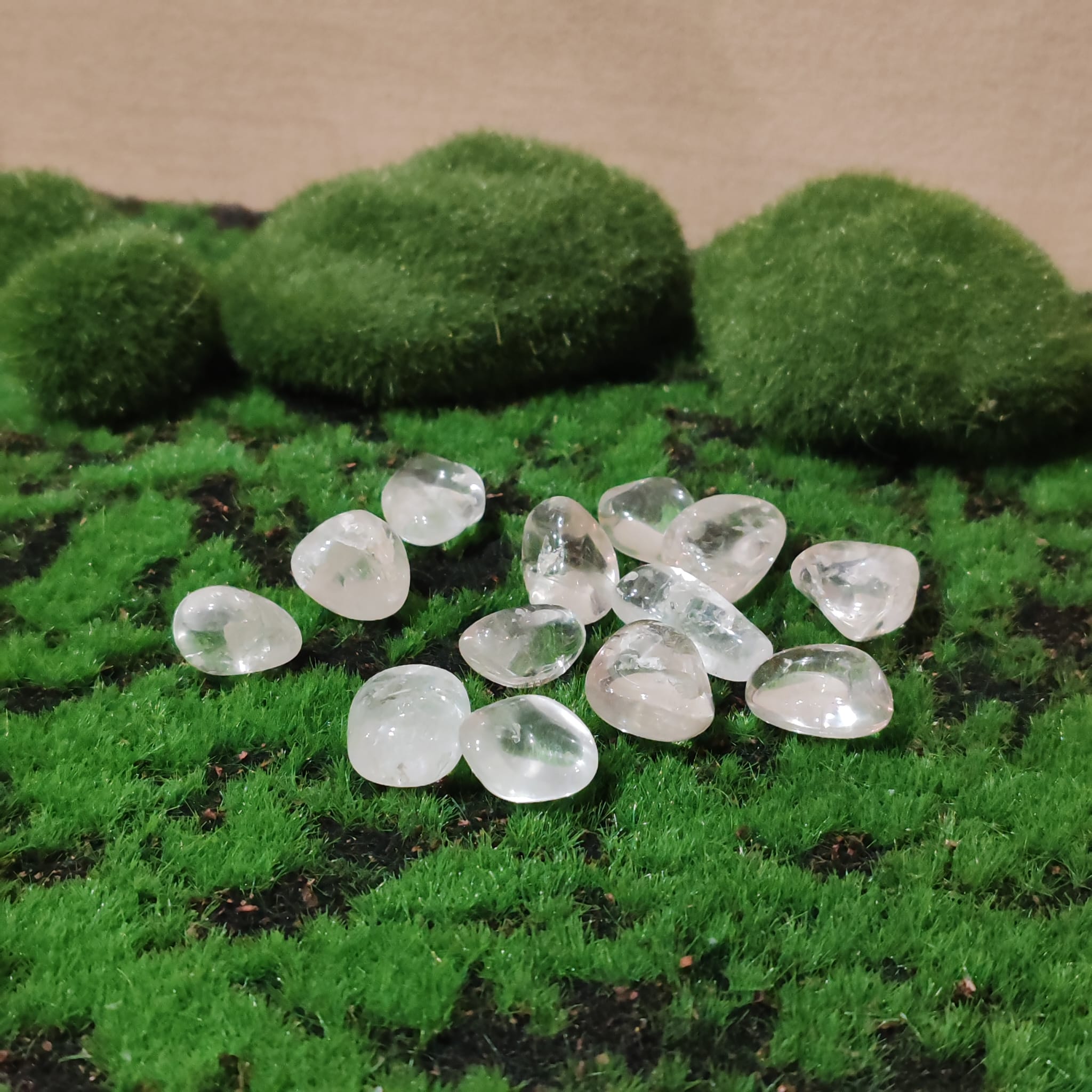 Su vibración aumenta los iones negativos. Refuerza la capacidad de auto sanación. Es energéticamente armonizadora y libera estados de bloqueo físicos y mentales.Tamaño: de unos 3 a 6 mm, el tamaño puede variar según el mineral. Las piezas que se entregaran son similares a las de la fotografía.
\n
\nPrecio por unidad.