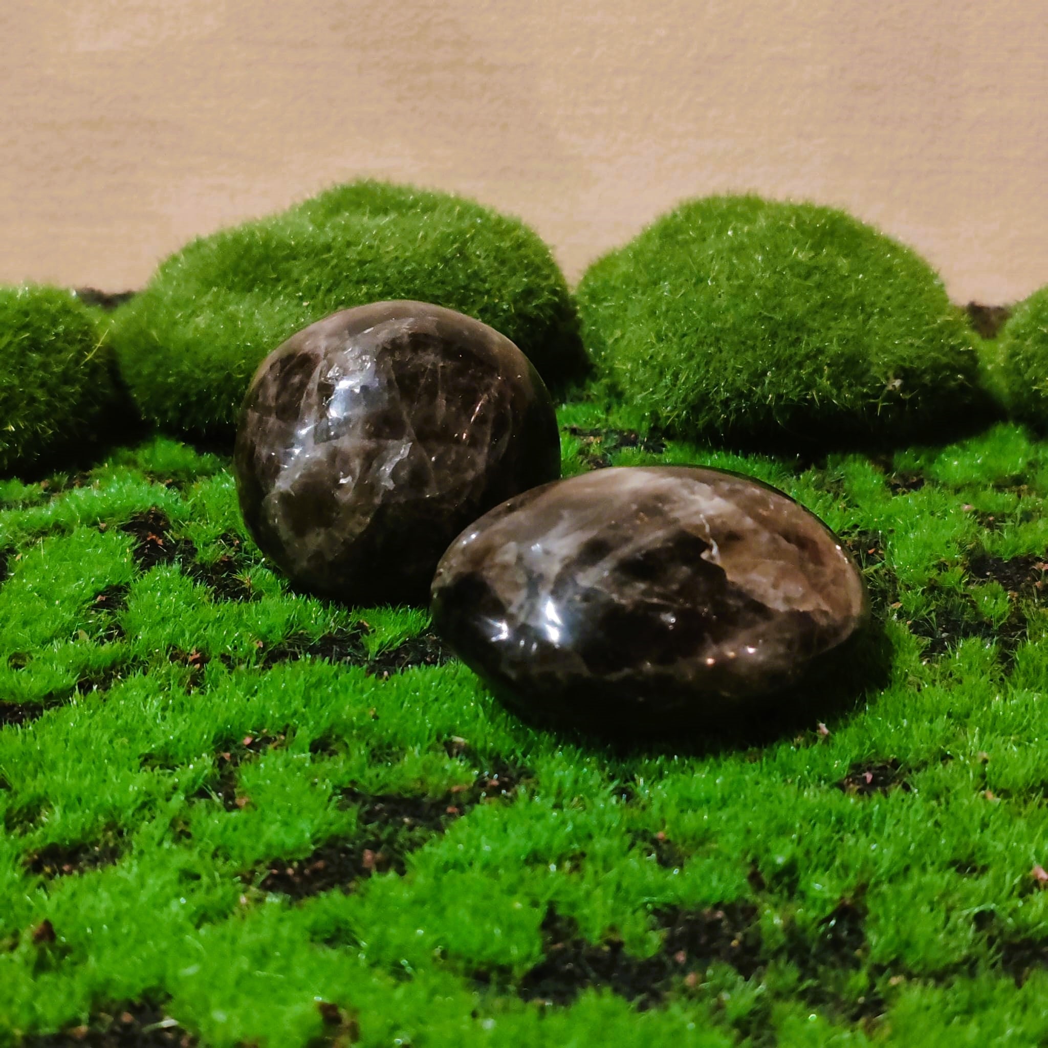 Este cristal calma la mente y ayuda en los procesos de ansiedad y depresión. Útil para enraizar tanto física como mentalmente. Ideal para parejas, porque protege el amor verdadero. Tamaño: de unos 3 a 6 mm, el tamaño puede variar según el mineral. Las piezas que se entregaran son similares a las de la fotografía.
\n
\nPrecio por unidad