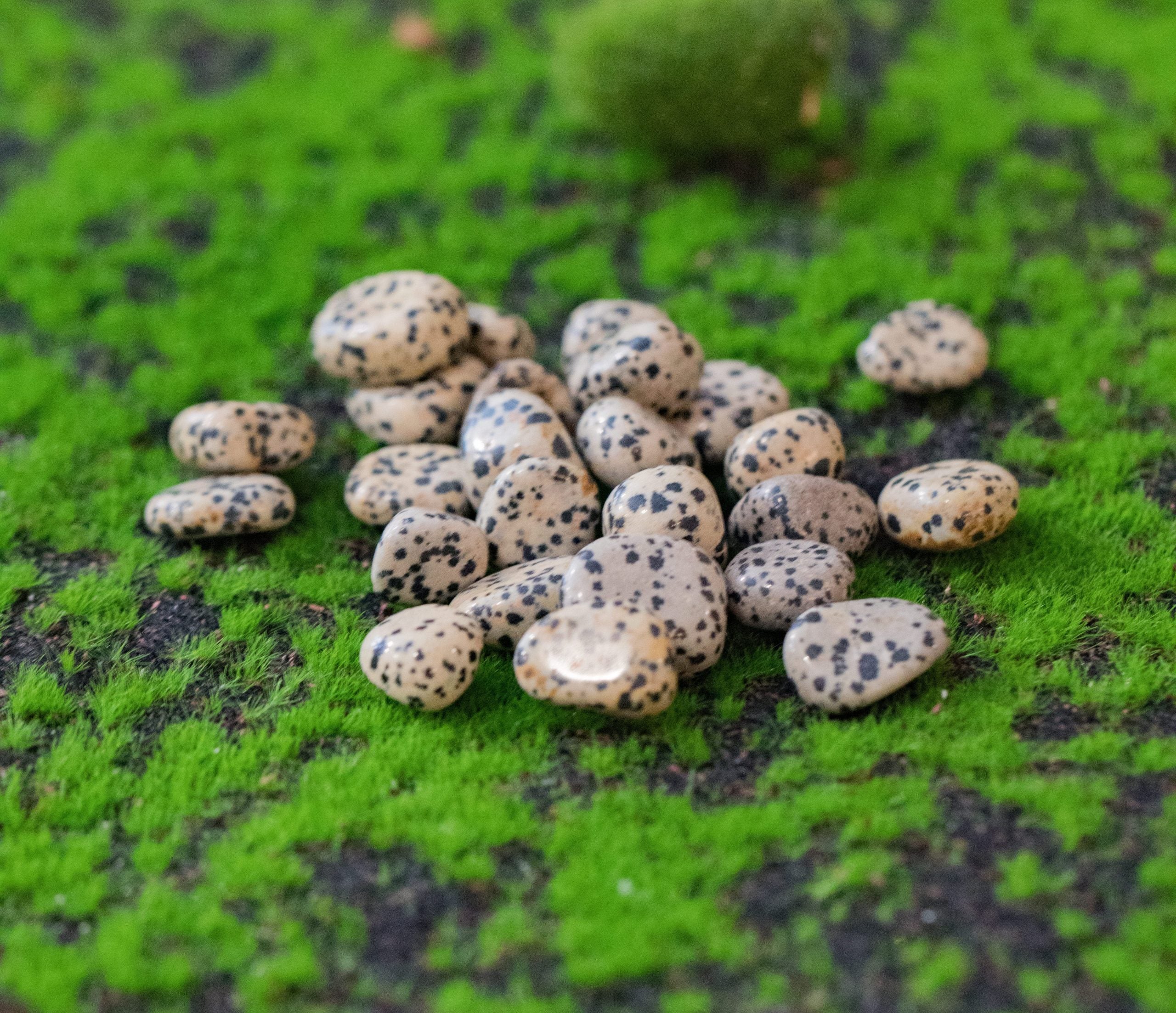 Conocido sobre todo por los sanadores mexicanos, es uno de los cristales para la limpieza y equilibrio del aura.  Tamaño: de unos 3 a 6 mm, el tamaño puede variar según el mineral. Las piezas que se entregaran son similares a las de la fotografía.\n\nPrecio por unidad.